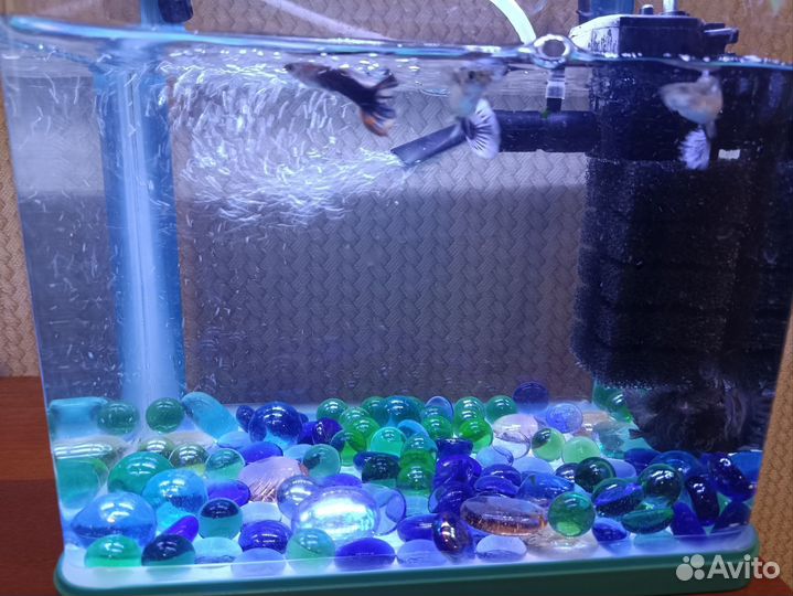 Аквариум 5 литров