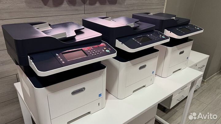 Мфу Xerox 3335