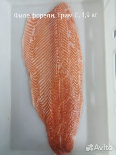 Рыба/Сёмга/Форель