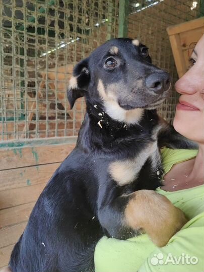 Знакомьтесь- Бонд, Джеймс Бонд