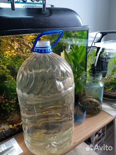 Универсальное удобрение для домашних растений