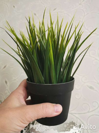 Икеа skurar 2 шт кашпо суккуленты