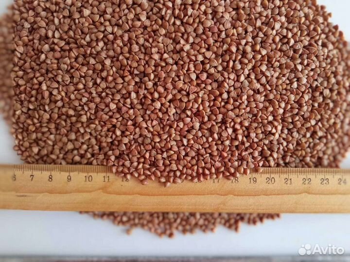 Гречка оптом