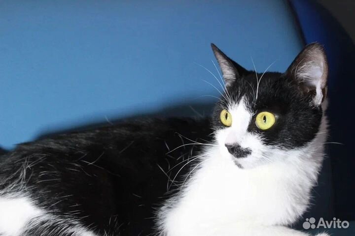 Манечка в дар