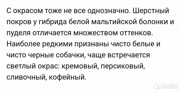 Мальтипу F1