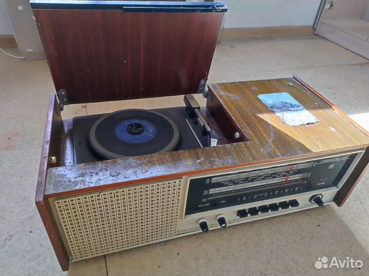 Радиола ригонда