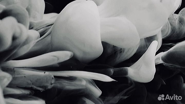 Видеооператор, монтажер, креатор