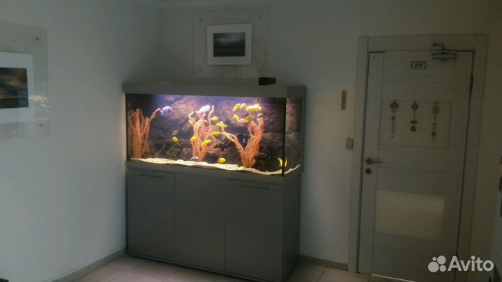 Обслуживание аквариумов