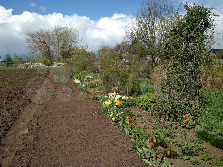 Участок 40 сот. (ИЖС)