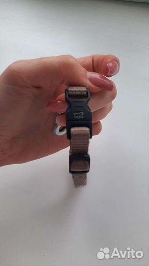 Ошейник для собак