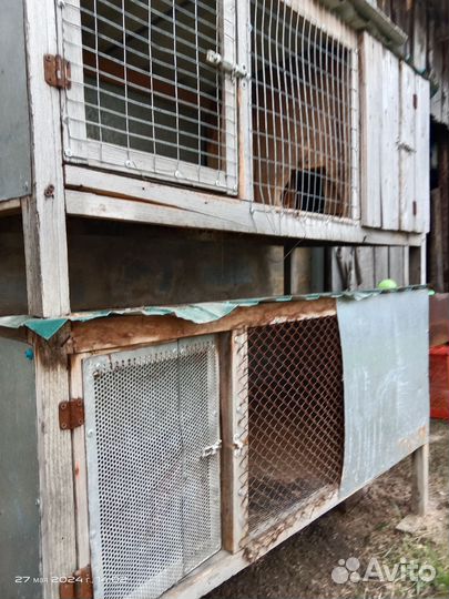 Клетка для кроликов