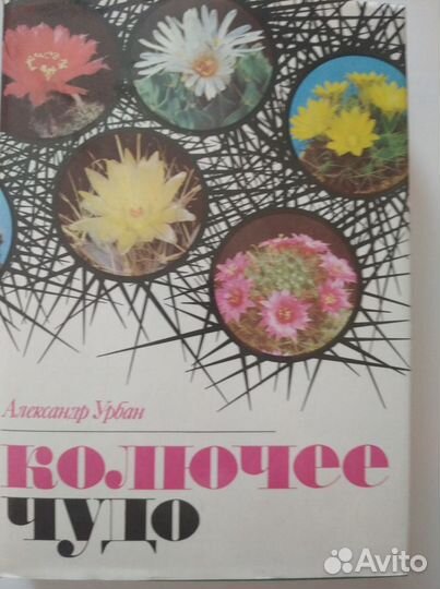 Книга о кактусах. А. Урбан. Колючее чудо