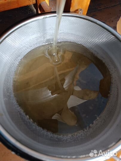 Свежий мед 2024 года