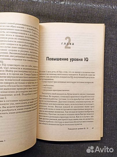 Техника развития интеллекта. Алдер. 2001