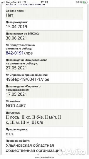 Вязка рел