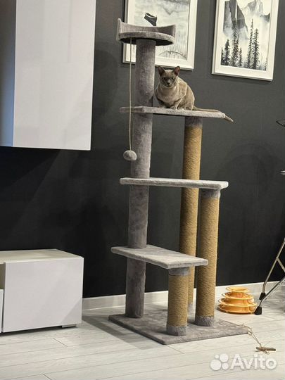 Когтеточка домик для кошки