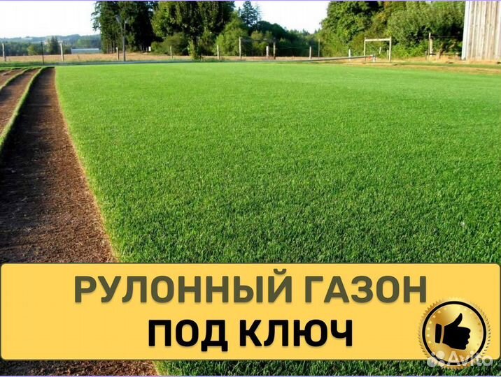 Рулонный газон Элитный под ключ