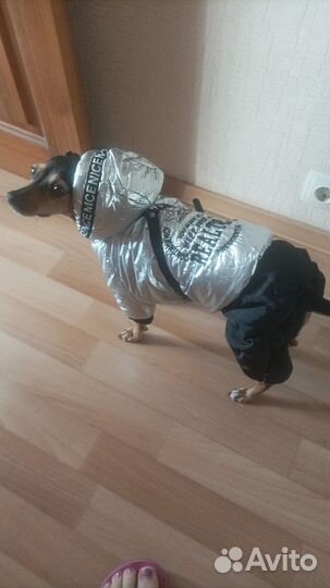 Комбинезон для маленькой собачки