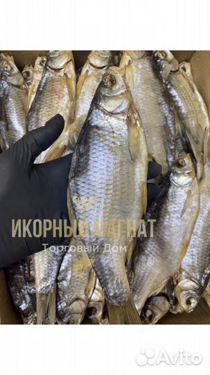 Астраханская вобла