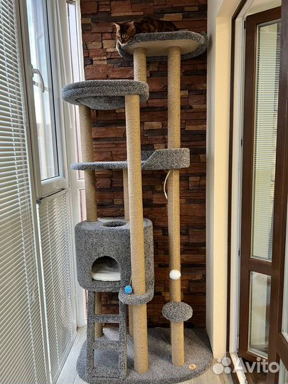 Комплекс для котиков 