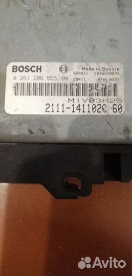 Эбу (мозги) ваз