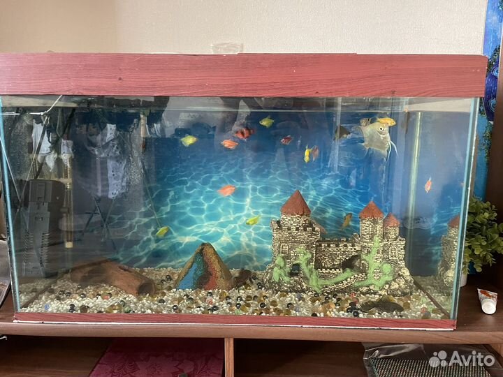 Аквариум
