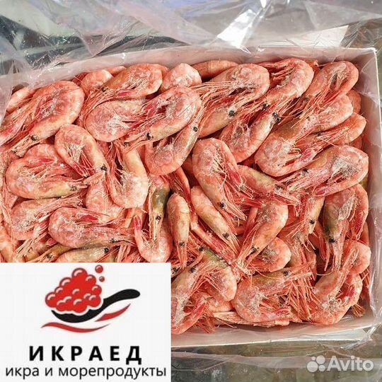 Креветки Северные оптом