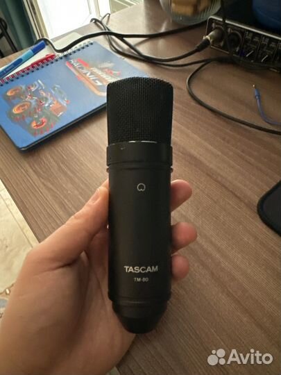 Микрофон Tascam TM-80