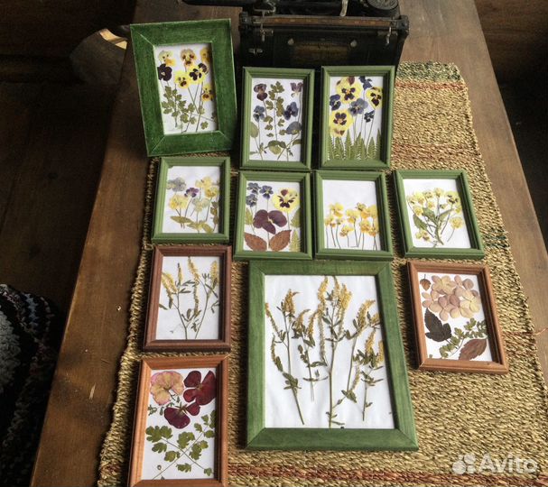 Ботанические панно из сухоцветов в рамках