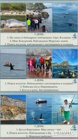 Тур Косатки 2025