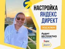 Профессиональная настройка Яндекс.Директ