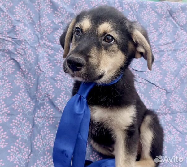 Вы тоже об этом думаете