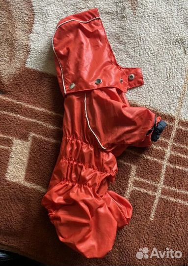 Костюм для собаки