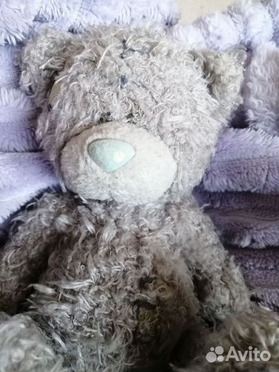 Мишка Тедди