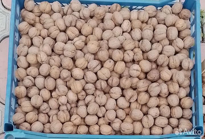 Орехи грецкие