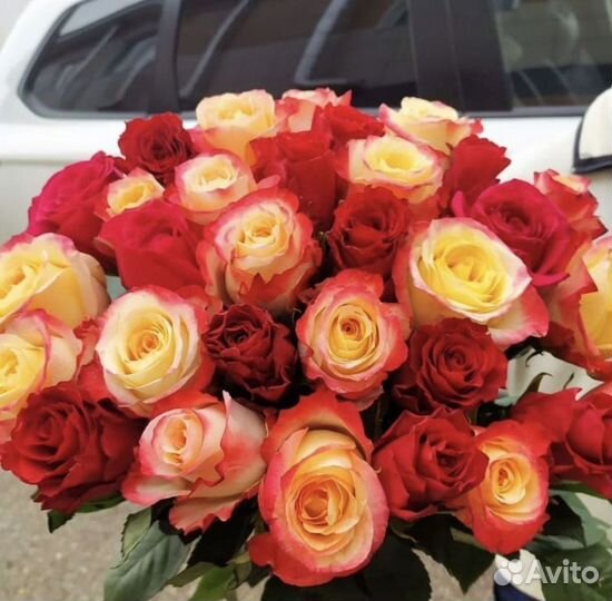 Цветы Розы Букеты доставка