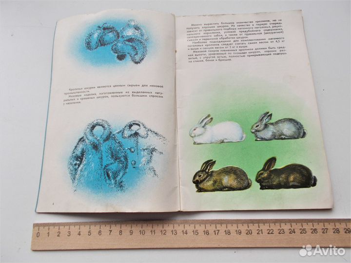 Буданов А.Ф. Повышайте качество шкурок кроликов