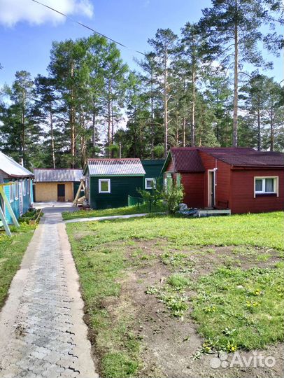 Туризм,отдых