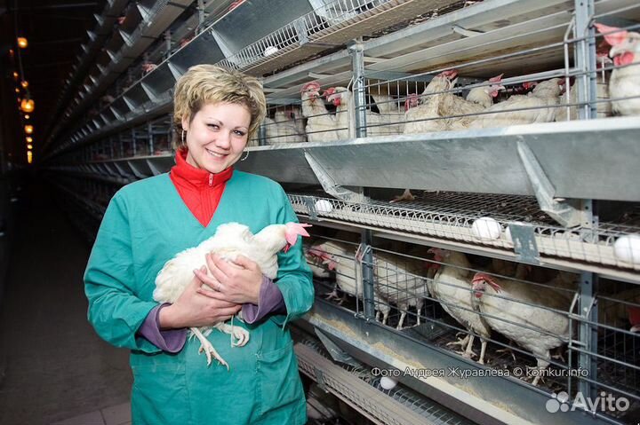 Подсобный рабочий