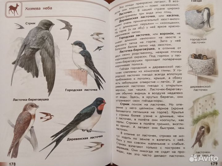 Атлас-определитель От земли до неба Плешаков