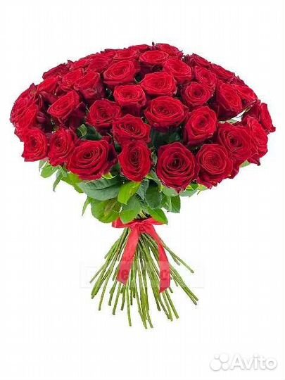 Роза. Букет 51 высокой бордовой розы.Высота 80 см