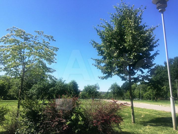 Участок 12 сот. (ИЖС)