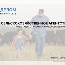 Сельскохозяйственное агентство в городе Нальчик, Нальчик