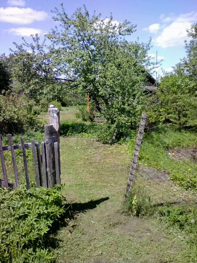 Дом 20 м² на участке 11 сот.