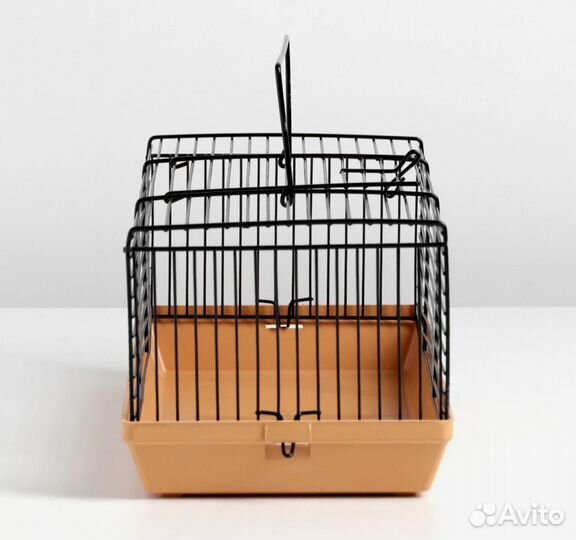 Хомячок джунгарский 2 месяца с клеткой