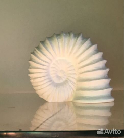 Статуэтка Аммонит