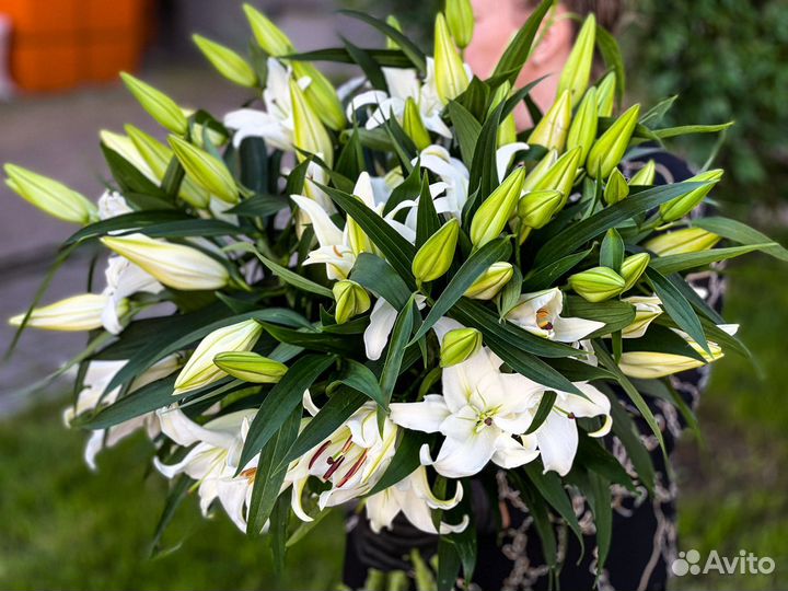 Лилия цветы букеты подарок