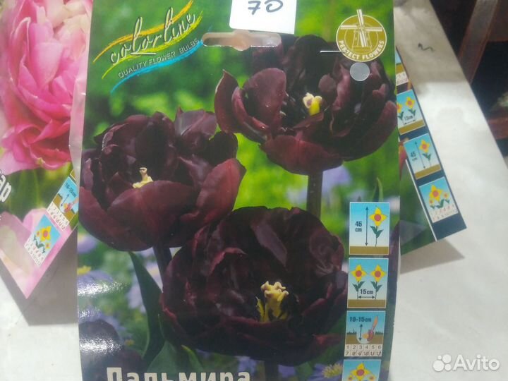 Тюльпаны махровые
