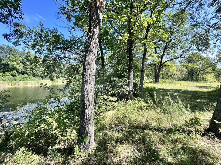 Участок 30 сот. (СНТ, ДНП)