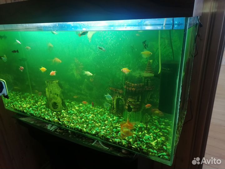 Аквариум